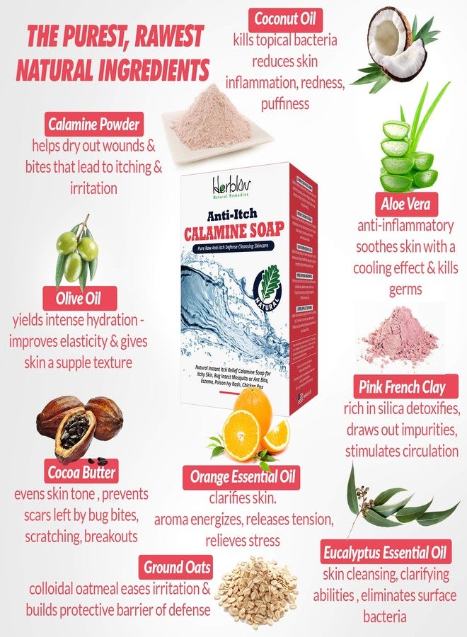 هيربلوڤ صابون طبيعي فوري لتخفيف الحكة - صابون كالامين مهدئ للبشرة المتهيجة، لدغات الحشرات (البعوض أو النمل)، الأكزيما، طفح اللبلاب السام، جدري الماء - منظف طبيعي نقي مضاد للحكة للعناية بالبشرة - Image 5